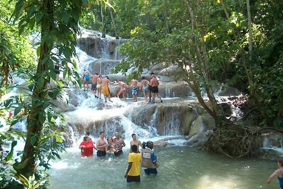 Villa Ocho Rios Under The Palms Jamaïque