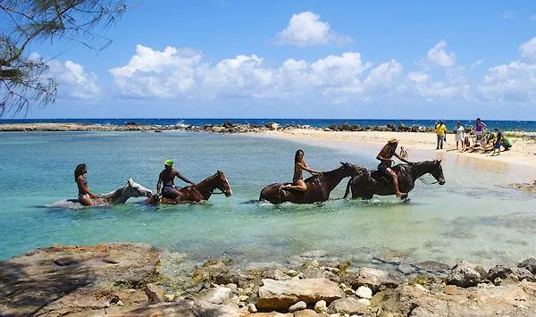 Ocho Rios Under The Palms Villa