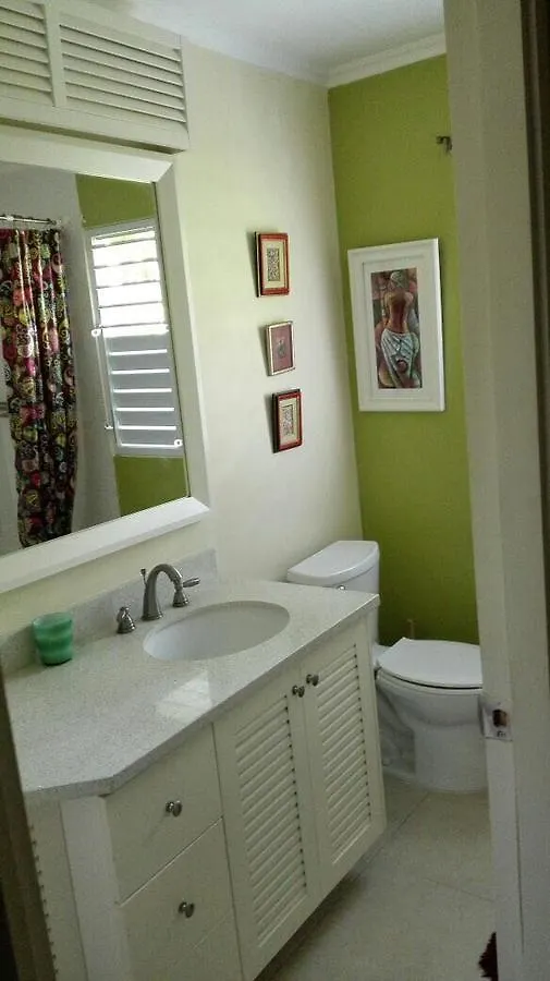 Ocho Rios Under The Palms Villa Jamaica