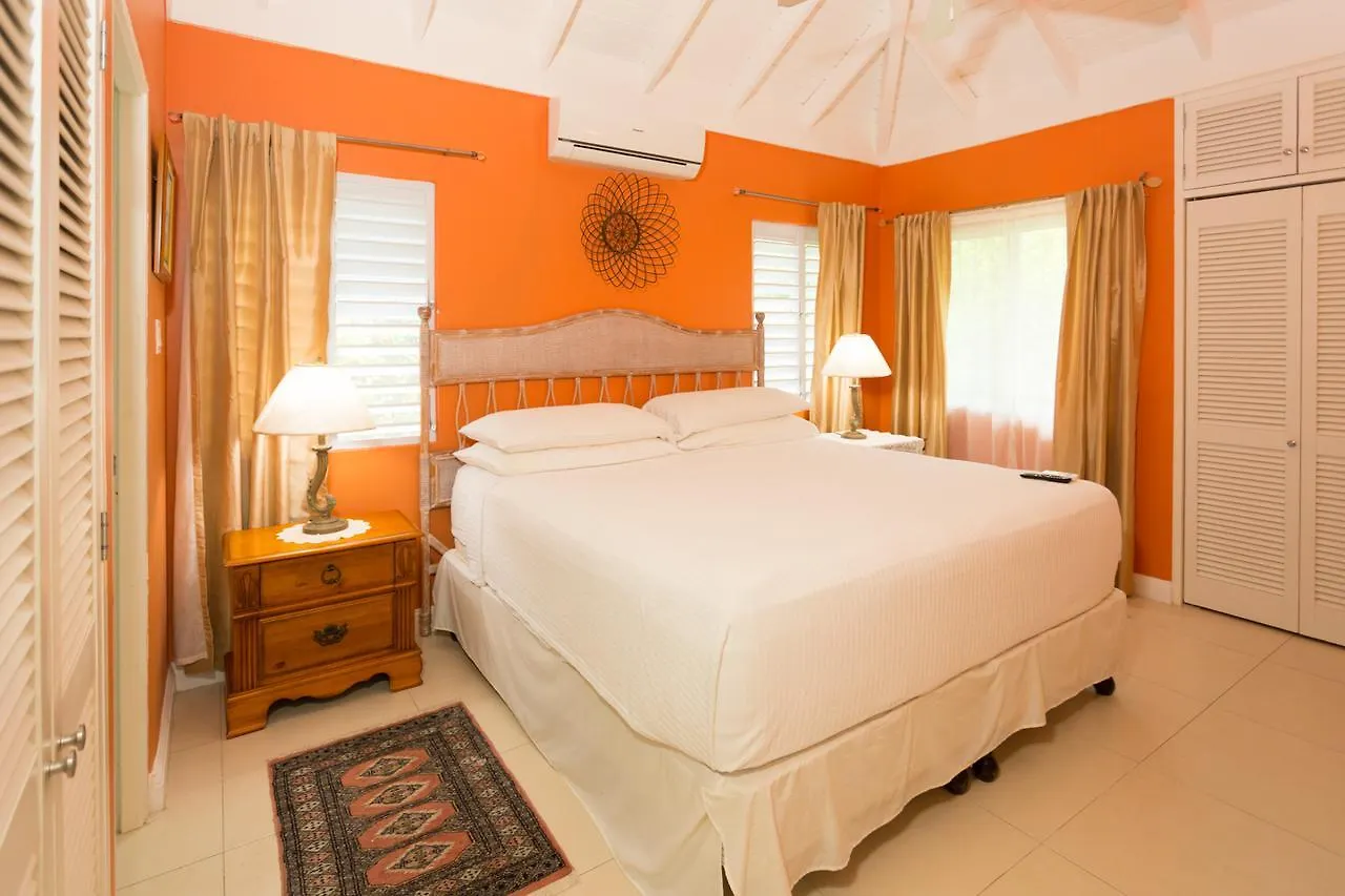 Ocho Rios Under The Palms Villa